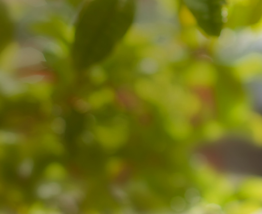 dagli ingredienti più semplici nasce un gusto unico