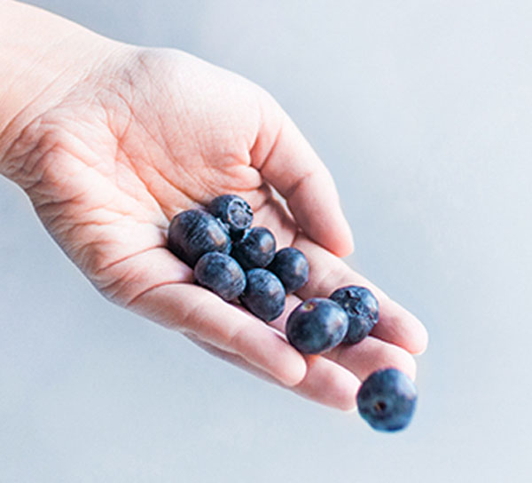 filtrate dalla roccia