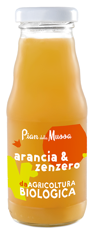 succo arancia e zenzero