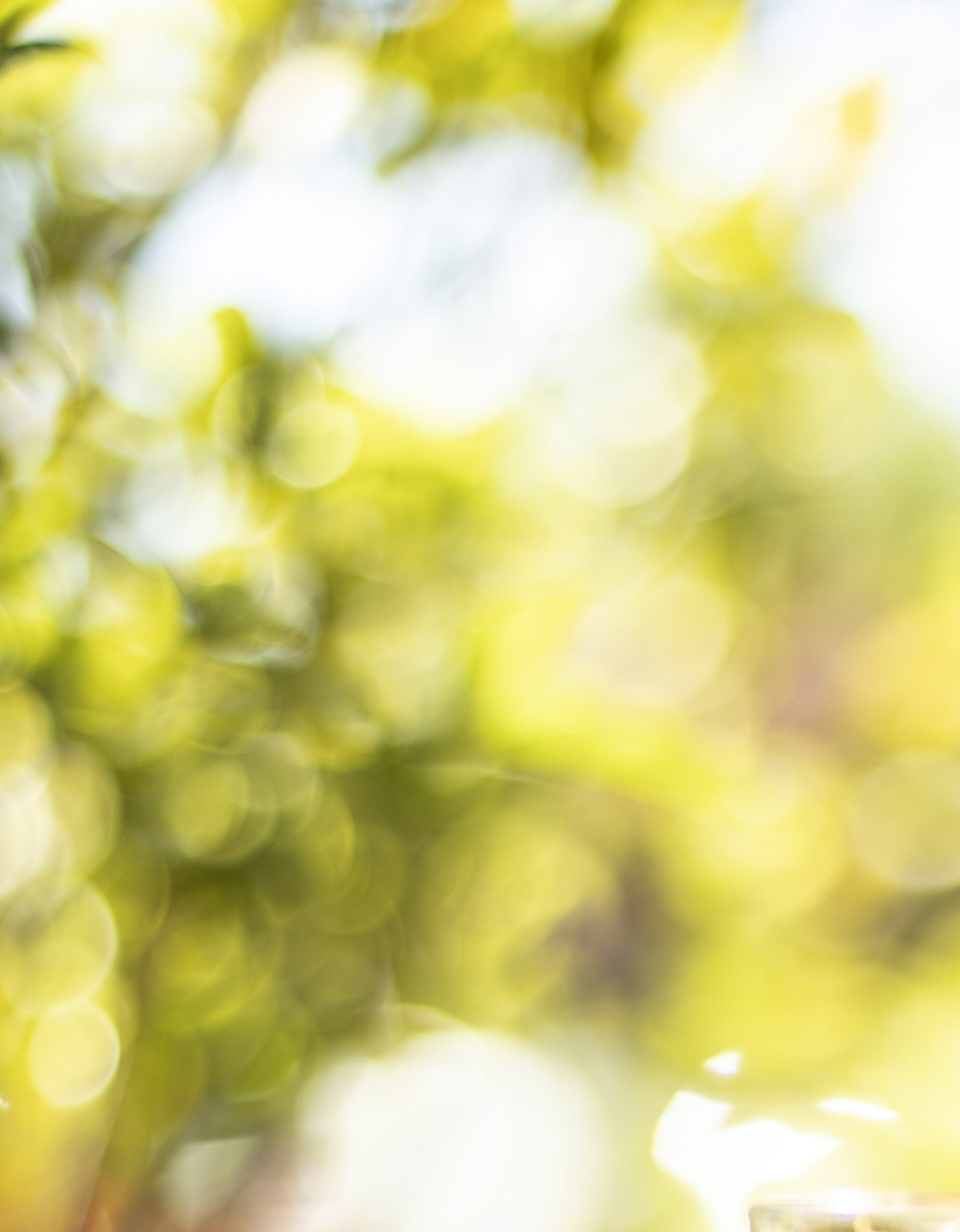 bicchiereamaro_dietro